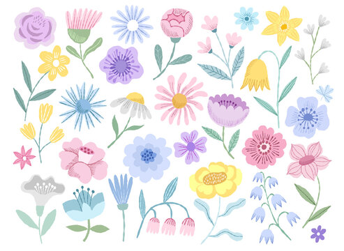Spring hand-drawn vector flower collection isolated on whiet
