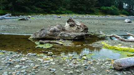 Meyers Creek Beach, Oregon Coast