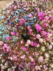 Obraz premium pink flowers background