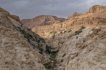 Westbound top view of Wadi (Nahal) David narrow and deep canyon as seen from Ein Gedi hostel, Ein Gedi National Park and Nature reserve, Judean desert, Dead Sea, Israel.