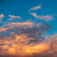 Naklejka na ściany i meble scattered cirrus clouds beautifully illuminated by the setting sun