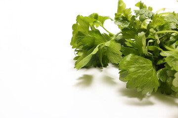 白バックのサラダセロリ