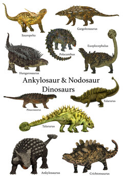 Ankylosaur & Nodosaur Dinosaurs - A collection of prehistoric armored animals known as Ankylosaur and Nodosaur dinosaurs.