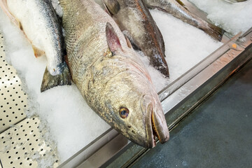 Fresh fish for sale at a market in Porto, Portugal