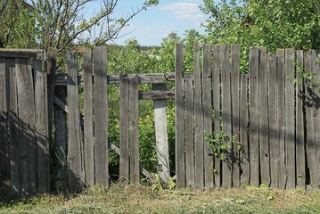 old gray wooden fence with broken boards overgrown with green vegetation on a rural street