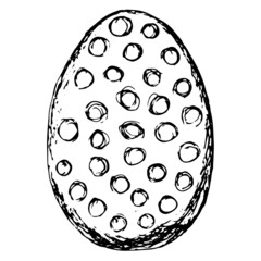 Black and white hand-drawn sketch of the easter egg with circle pattern. Simple vector rough pencil drawing isolated on transparent background
