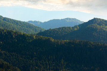 forested mountain ridge. beautiful nature scenery in summer afternoon