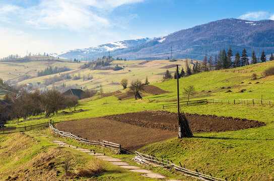 rural landscape with arable crop field in spring. beautiful sunny morning in carpathian mountains. grass on the hill and snow capped peak, village in the valley