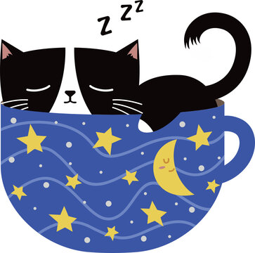 Black Cat Sleep In A Stary Blue Mug