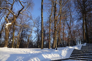 Stairs covered with white fresh snow on a sunny day in Kadriorg park. Trees on the back. Landscape. Tallinn, estonia, Europe. January 2022