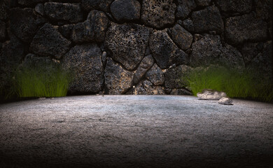 Fondo de hormigón y roca. Fondo de suelo de cemento y pared de roca y luz de foco.