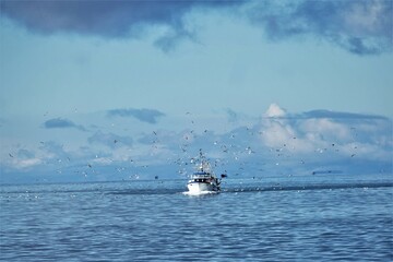 Fishing boat on blue horizon with seagulls