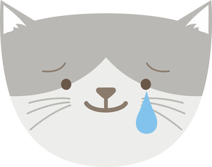 Gray Cat Smiling Tears Face