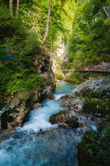 Fototapeta premium Vintgar gorge of Radovljica river in Slovenia 