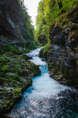 Fototapeta na wymiar Vintgar gorge of Radovljica river in Slovenia 