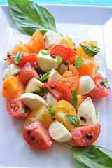 Colorful Cherry Tomato and Mozzarella Cheese Salad with Basil, Insalata Caprese	
