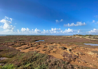 coastal landscape with sky