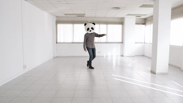Cheerful man in panda mask dancing in a new empty office. High quality 4k footage