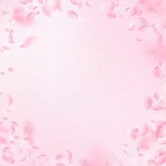 Sakura petals falling down. Romantic pink flowers vignette. Flying petals on pink square background. Love, romance concept. Exotic wedding invitation.