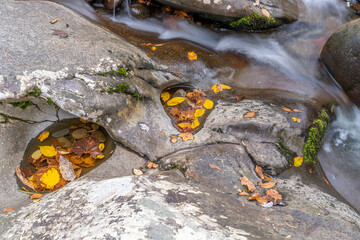 Great Smoky Mountains - Little Pigeon River