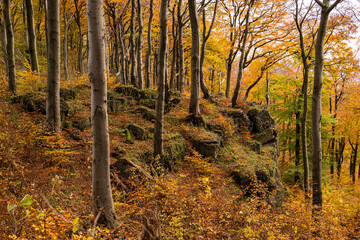 Obraz premium Rock formations and crags of the Ithklippen (Ith cliffs), surrounded by a beautiful autumn forest with huge old beech trees, Ith Ridge, Weser Uplands, Lower Saxony, Germany