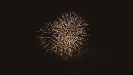Fototapeta premium 花火