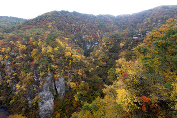 Obraz premium 《宮城県》紅葉の鳴子峡