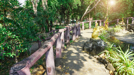The walkway in the park is sunny in the morning. For backgrounds or illustrations that require natural beauty