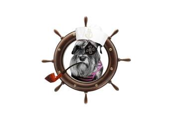 ship's steering wheel. dog in the form of a pirate. with a smoking pipe in his mouth. isolated on white background © stalk