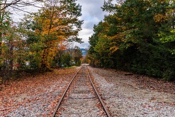 Fototapeta na wymiar Train Tracks in Autumn