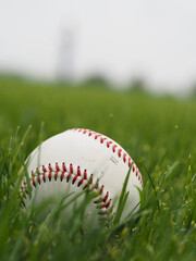 baseball on grass