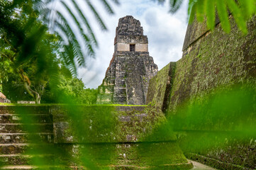 Ruinas y templos mayas de la antigua ciudad de Tikal en la selva - Tikal, Petén, Guatemala - obrazy, fototapety, plakaty
