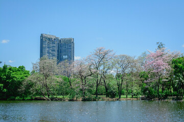 beautiful background images.