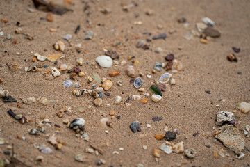 Myriad of pebbles found on a beach. Selective focus points