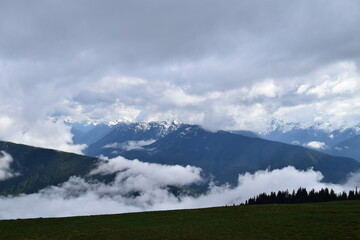 Olympic National Park, Washington, USA