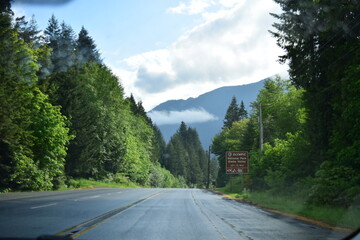 Naklejka premium Olympic National Park, Washington, USA