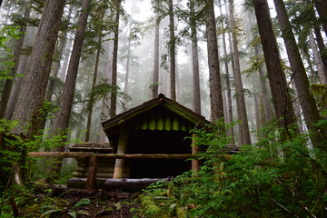 Fototapeta na wymiar Olympic National Park, Washington, USA