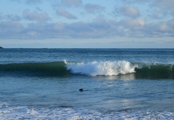 Olympic National Park, Washington, USA