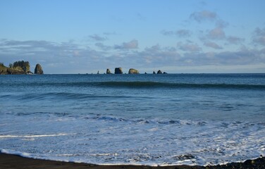 Fototapeta premium Olympic National Park, Washington, USA
