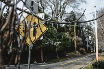 Frozen road sign and branches