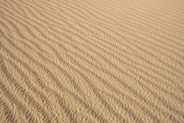 Fototapeta na wymiar Rippling Texture of A Death Valley Sand Dune
