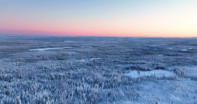 Aerial view over forest and wilderness of Lapland, colorful arctic polar night sky - tracking, drone shot
