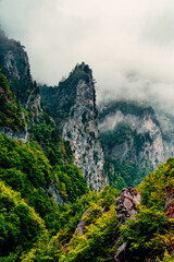 Misty Karst Mountain Valley Landscape