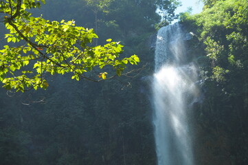 Waterfall with sunshine and tropical leaf