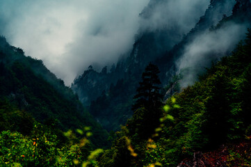 Misty Karst Mountain Valley Landscape