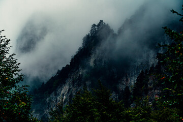 Misty Karst Mountain Valley Landscape