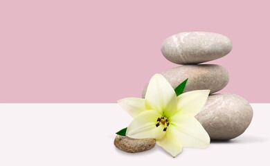Fototapeta na wymiar Background for cosmetic products of natural color. Stone podium with white flowers.