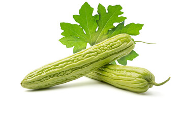 Bitter gourd green leaves . isolated on white background.