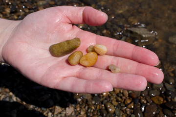pebbles and creams in hand. rocky coast. a woman's hand holds stones from the shore.