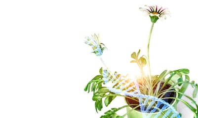 Naklejka premium Plant and environment research, DNA, Biology laboratory nature and science,